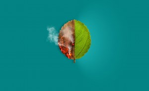 Qué es el cambio climático