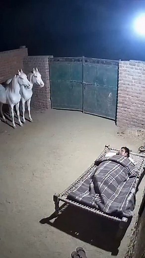 Paranormal activity caught on camera in north India. #horror #scary #horrorstory #horrorshorts #truehorror | Darropedia