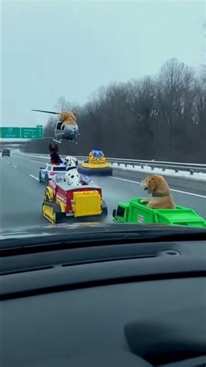 My Pets Turned the Road into a Racetrack 🏁🐾 | MagicToon Stories | 3D Animated Cartoon Story