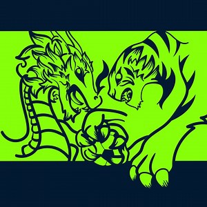 🙌 Introducing your new AFF Suzuki Cup 2018 champions 🇻🇳🇻🇳🇻🇳 #AFFSuzukiCup18 #TimeToShine | ASEAN United FC