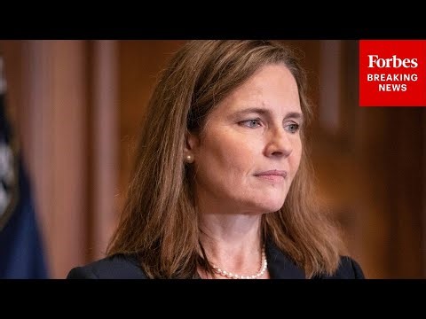 'Let's Pretend...': Amy Coney Barrett Grills Attorney On Difference Between First, Second Amendments