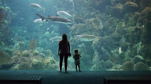 283 reactions · 26 shares | Go, Go, Go! To The Florida Aquarium! | The Florida Aquarium | Facebook