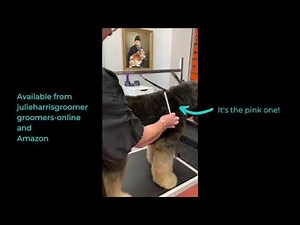 Coat preparation for a beautiful Briard