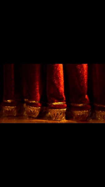 কার্টুন ভিডিও on TikTok