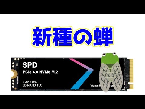 [SSD] A new species of cicada discovered!? The results of testing a certain low-cost SSD... SPD S...
