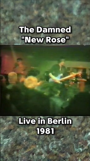 The Damned - "New Rose" live in Berlin (1981) #thedamned #punkrock #80spunk #captainsensible