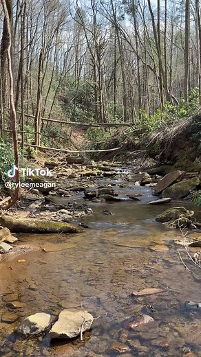 Rock Stacking Dangers: Impact on Environment & Wildlife