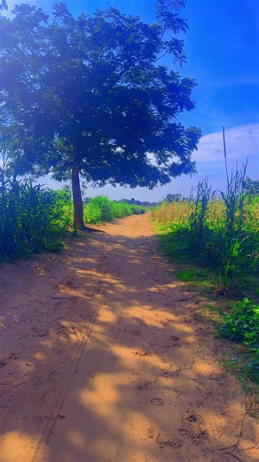 Jikan Baba Asabe in Jigawa: Nigerian TikTok Moments