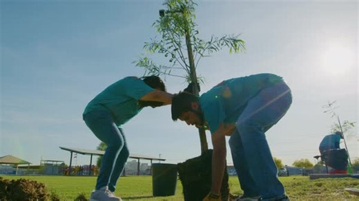 23 reactions | The APS Community Tree Program is gearing up for the spring planting season. Neighborhood groups and nonprofit organizations can receive up to $10,000 to fund a tree planting project. See if your project qualifies at aps.com/communitytreeprogram. | Arizona Public Service - APS | Facebook