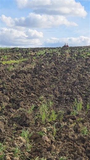 Andrew C Nelson on Reels