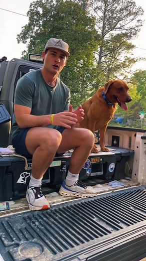 Labrador Shedding: The Ultimate Spring Deshedding Hack!