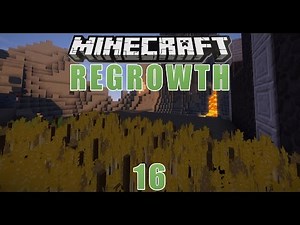 Minecraft Regrowth - #16 - Neue Seeds