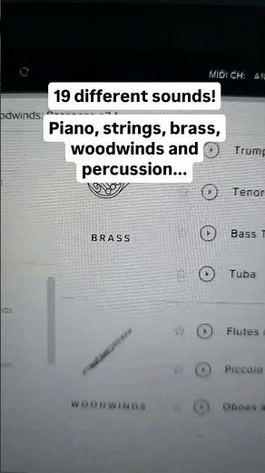 BBC Symphony Orchestra Discover by Spitfire Audio