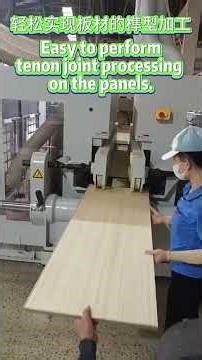 Two REIGNMAC Double-End Tenoners 8025A in operation at a Vietnamese furniture factory #woodworking