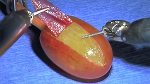 We Asked the Meme Illuminati If They Can Force a Meme to Happen