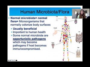 Host Microbe Interactions (Microbiome, Pathogens)