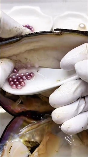 How are freshwater pearls mussel formed in shells? how to make perler bead necklace #jewellery