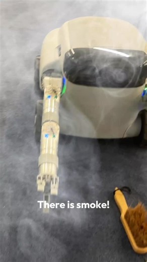 Training Session was flawless until Wesley said: "Willow X is smoking!" And she started smelling. Watch it in our newest vlog. 👉https://youtu.be/l-bVDpPH4IY #WillowX #Trainingsession #BehindTheScenes | EEVE