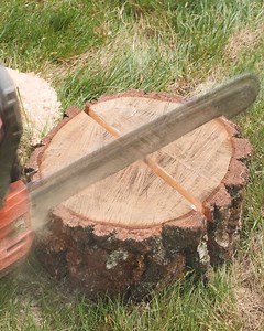 1.1M views · 1.2K reactions | Remove Unwanted Stumps! | Pretty Makeup | Facebook