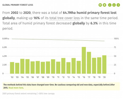 These are the 10 key actions needed to save the Amazon rainforest, say scientists