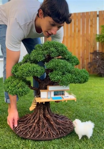 Pedi um Airbnb para meu cachorro e é em cima de uma árvore! 🐶🌳😱