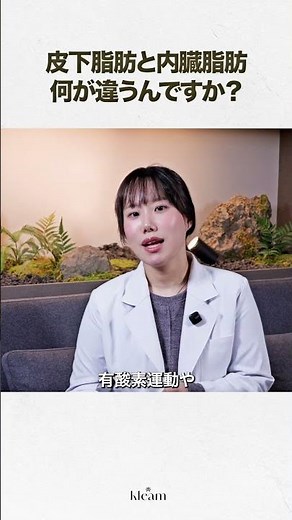 皮下脂肪と内臓脂肪何が違うんですか？ | クリムクリニック ホン・ヨンジュ院長