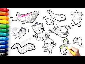 바다탐험대 옥토넛 해양생물 그리기 색칠하기/35분 연속보기/ Let’s draw and paint the Octonauts/35minutes 1080p [BaBa아랏지]