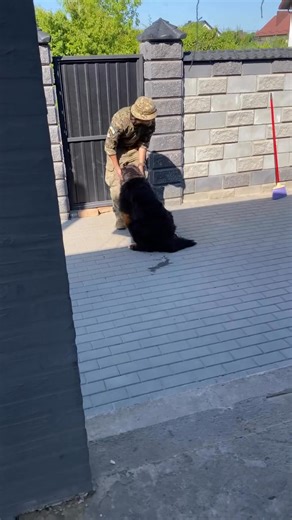 After a year apart, a dog welcomes the Ukrainian defender back home. 🎥: Yana.dr.vet | UkraineWorld