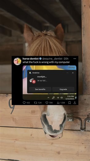 propergiggle | #memes #humor #education #comedy #fyp #satire #foryoupage #funnymemes #propergiggle | Instagram