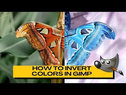 How to Invert Colors of an Image Using GIMP (4 Easy Methods)