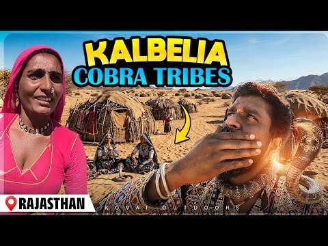 பாலைவனத்தில் அரிதாக காணப்படும் கல்பேலியா கோப்ரா மக்கள்|kalbelia cobra gypsy tribe|Rajasthan