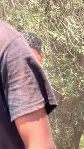 Composting Tips for Hot Weather