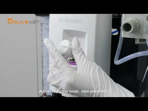 VET-V1 Veterinary Surgical Anesthesia Equipment – OEM & Wholesale for Animals Up to 100kg