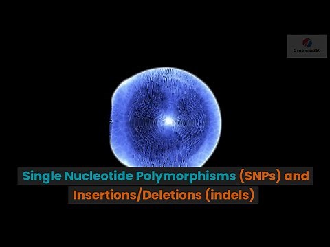 Single Nucleotide Polymorphisms (SNPs) and Insertions/Deletions (indels)
