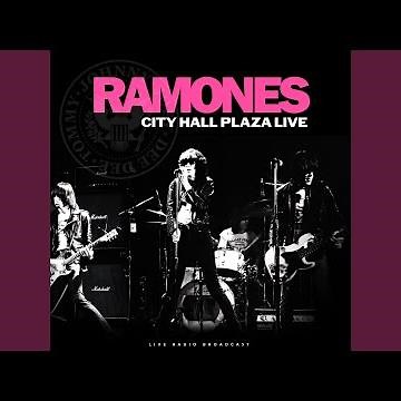 I Wanna Be Sedated (live)