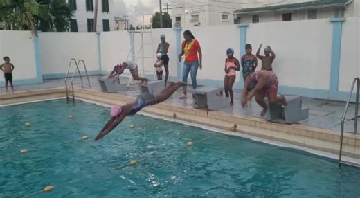 Dolphin_Club on TikTok