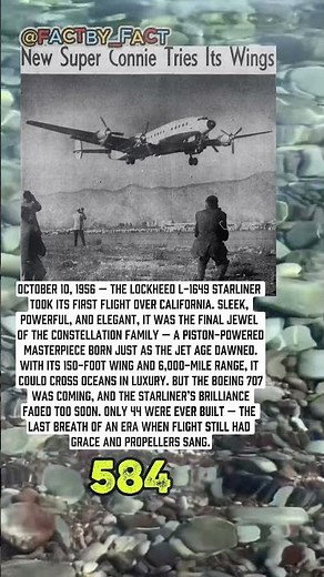 ✈️ Title The Last Star of the Skies #doyouknow #amazingfacts #ww2