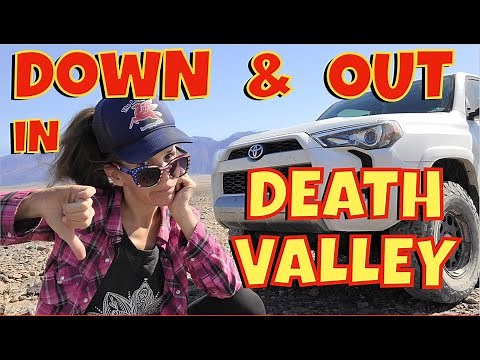 The Wonderhussy Report: Brokedown Lemonade