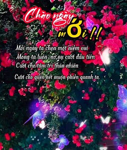 Chào buổi sáng👋 | Long Stories