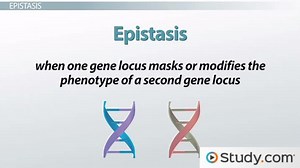 You must c C reate an account to continue watching