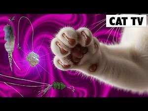 Videos Cats Love Episode 64 Videos Changing Every 3 Minutes.play this for your cat on a TV or phone.