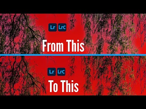 How to IMPROVE a SKY MASK Around TREES in Lightroom