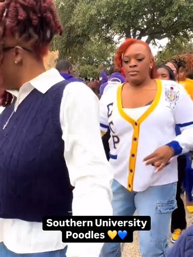 A Spotlight filled with SGRho legacy 💙💛 Reposted . . . #sigmagammsrho #sorority #poodles #legacy #fypシ