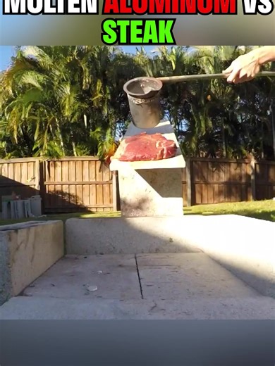 The MOST INSANE Experiment | The Backyard Scientist