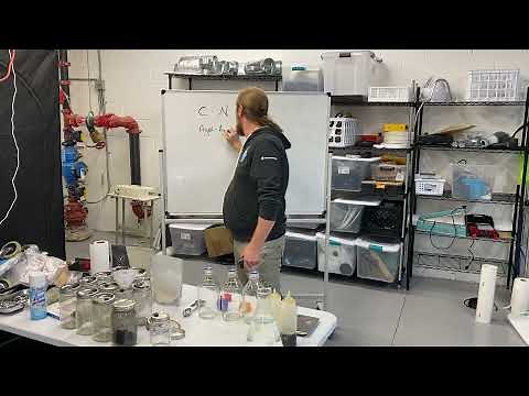 Agar & Cultures Part 1 - Introduction & Basics