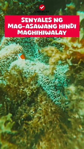 checkliststudio (@checkliststudio)’s videos with original sound - checkliststudio