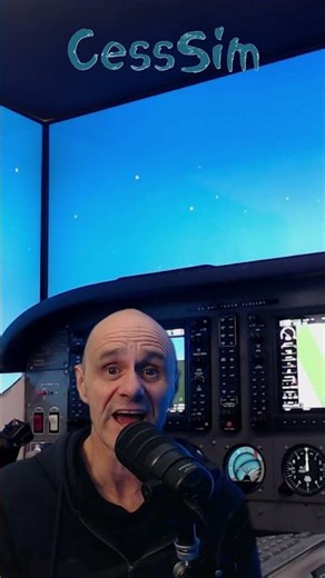 ⚡️Fun Aspect of Flight Simming - Flying⚡️