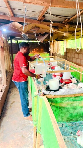 Treasure Farm (@treasure.farm)’s videos with original sound - Treasure Farm