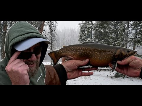 Fishing in a Winter Wonderland - Huge Brookies