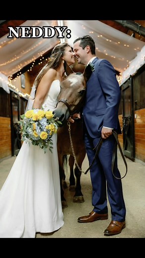 Northern Belle Stables on TikTok